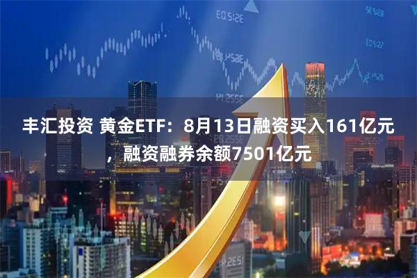 丰汇投资 黄金ETF：8月13日融资买入161亿元，融资融券余额7501亿元