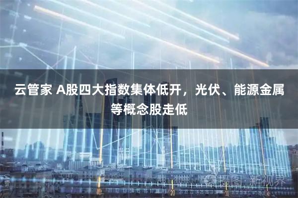 云管家 A股四大指数集体低开，光伏、能源金属等概念股走低