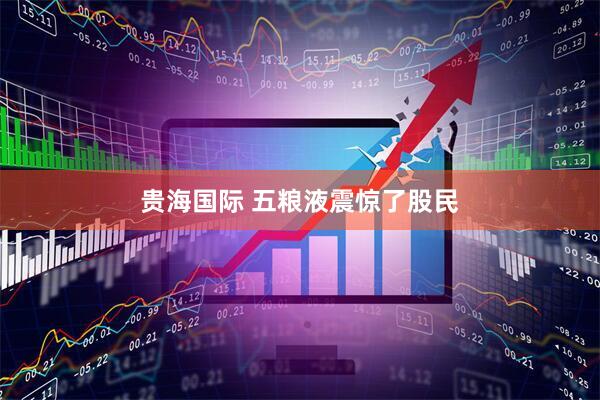贵海国际 五粮液震惊了股民
